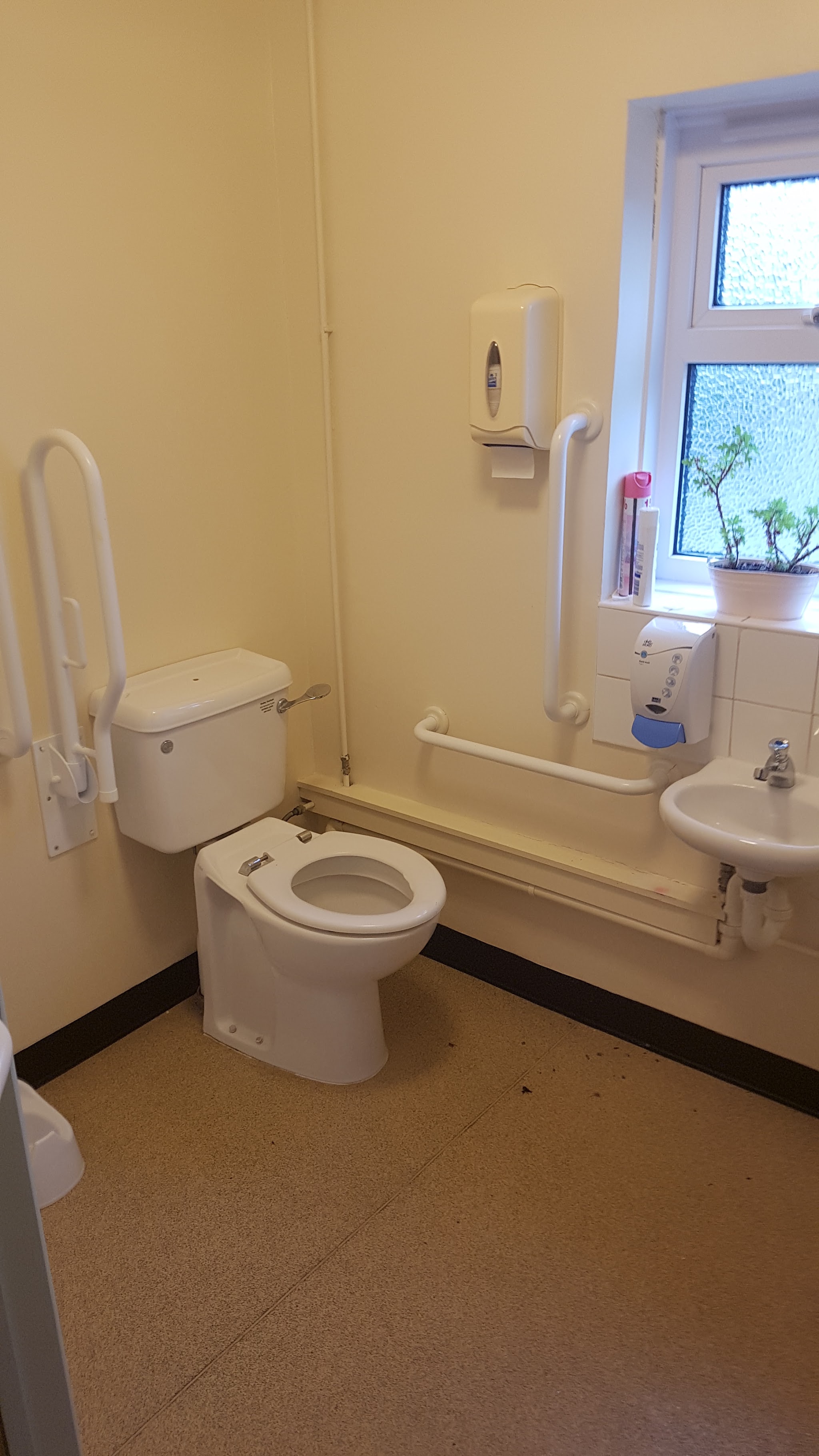 Freshly painted accessible toilet with pale yellow walls and a black skirting band
